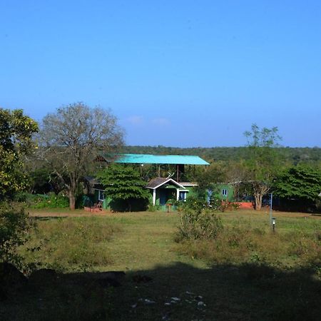 Aarraams Farms & Resorts Masinagudi Ngoại thất bức ảnh